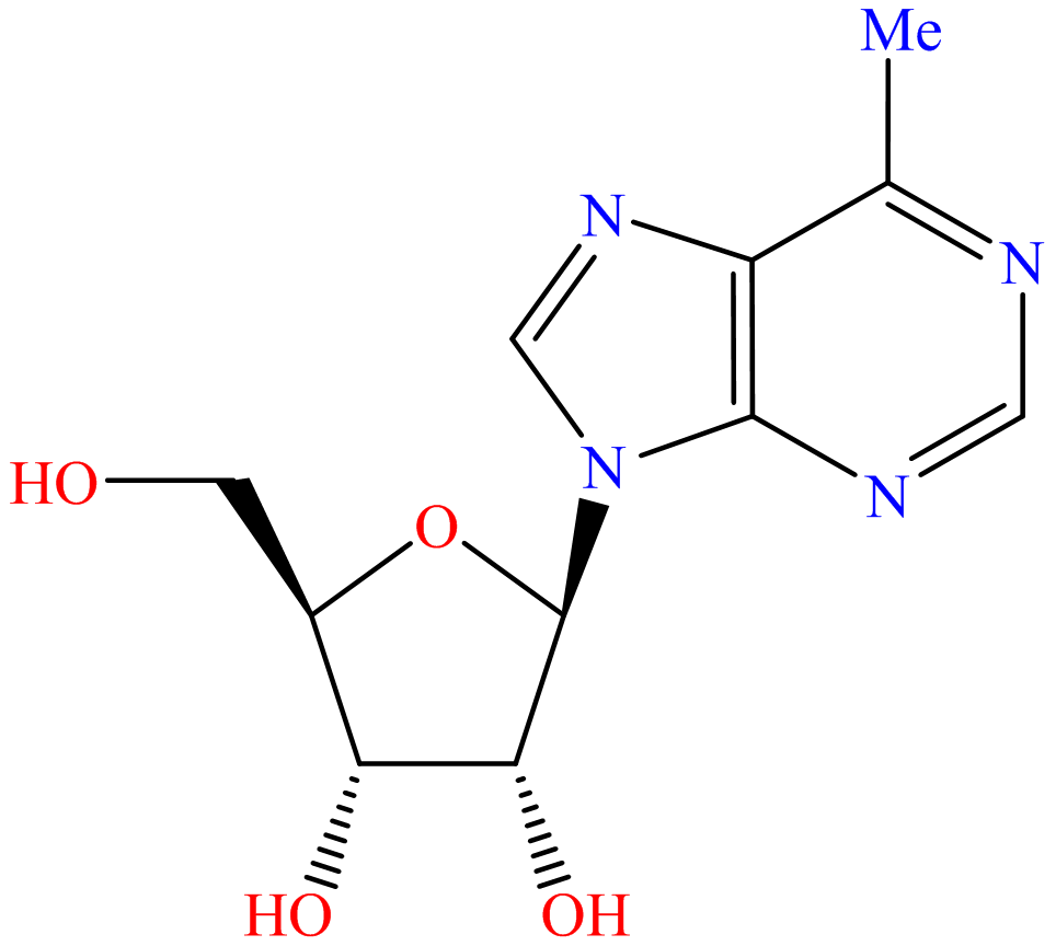 6-Methyl-9-β-D-ribofuranosylpurine; 6-Methylpurine ribonucleoside