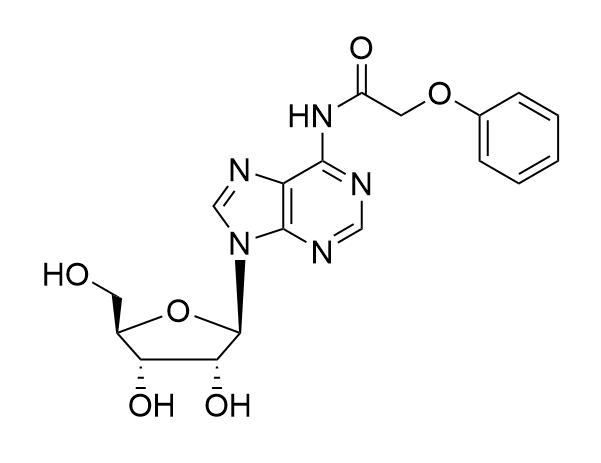N6-(4-Methyoxybenzoyl)adenosine