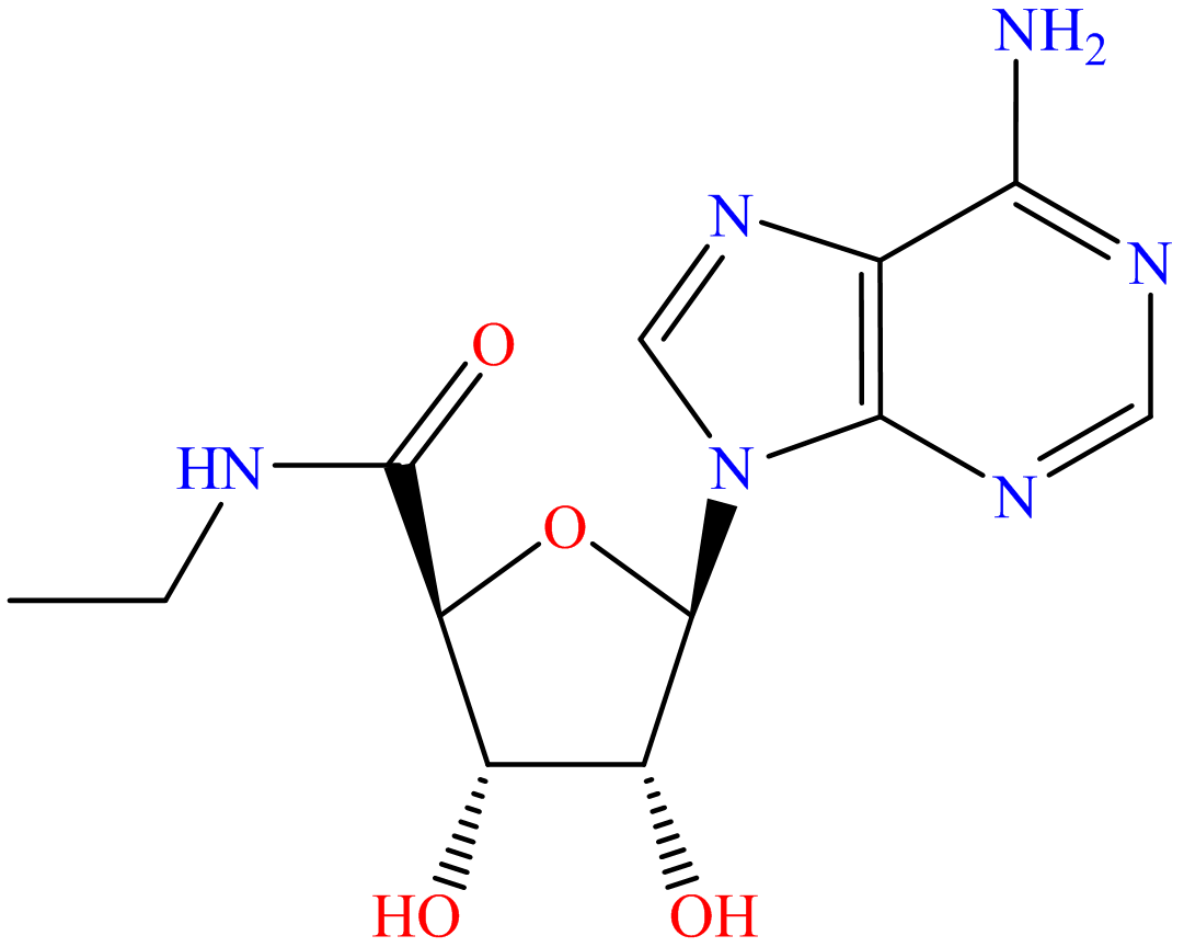 5'-N-Ethylcarboxamidoadenosine; NECA
