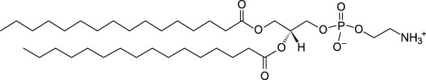 DPPE 1,2-dihexadecanoyl-sn-glycero-3-phosphoethanolamine