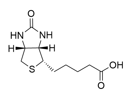 D-Biotin
