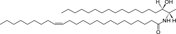 N-C24:1-deoxysphinganine