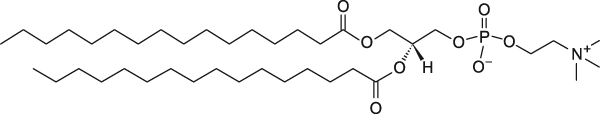 DPPC 1,2-dipalmitoyl-sn-glycero-3-phosphocholine