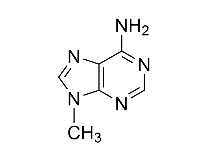 N9-Methyladenine