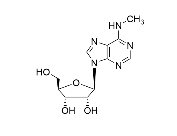 N6-Methyladenosine
