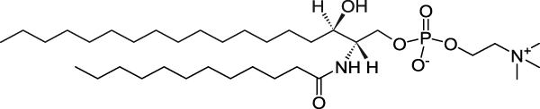 12:0 Dihydro SM (d18:0/12:0)