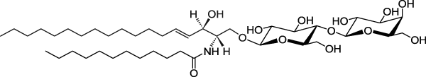 C12 Lactosyl(ß) Ceramide (d18:1/12:0)