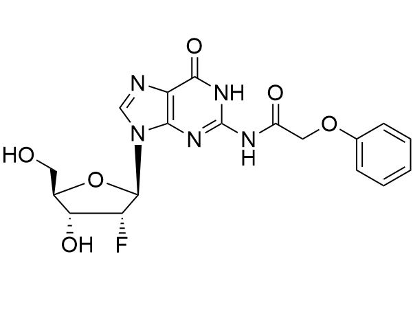N2-Phenoxyacetyl-guanosine