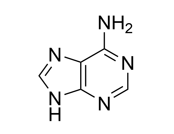 Adenine
