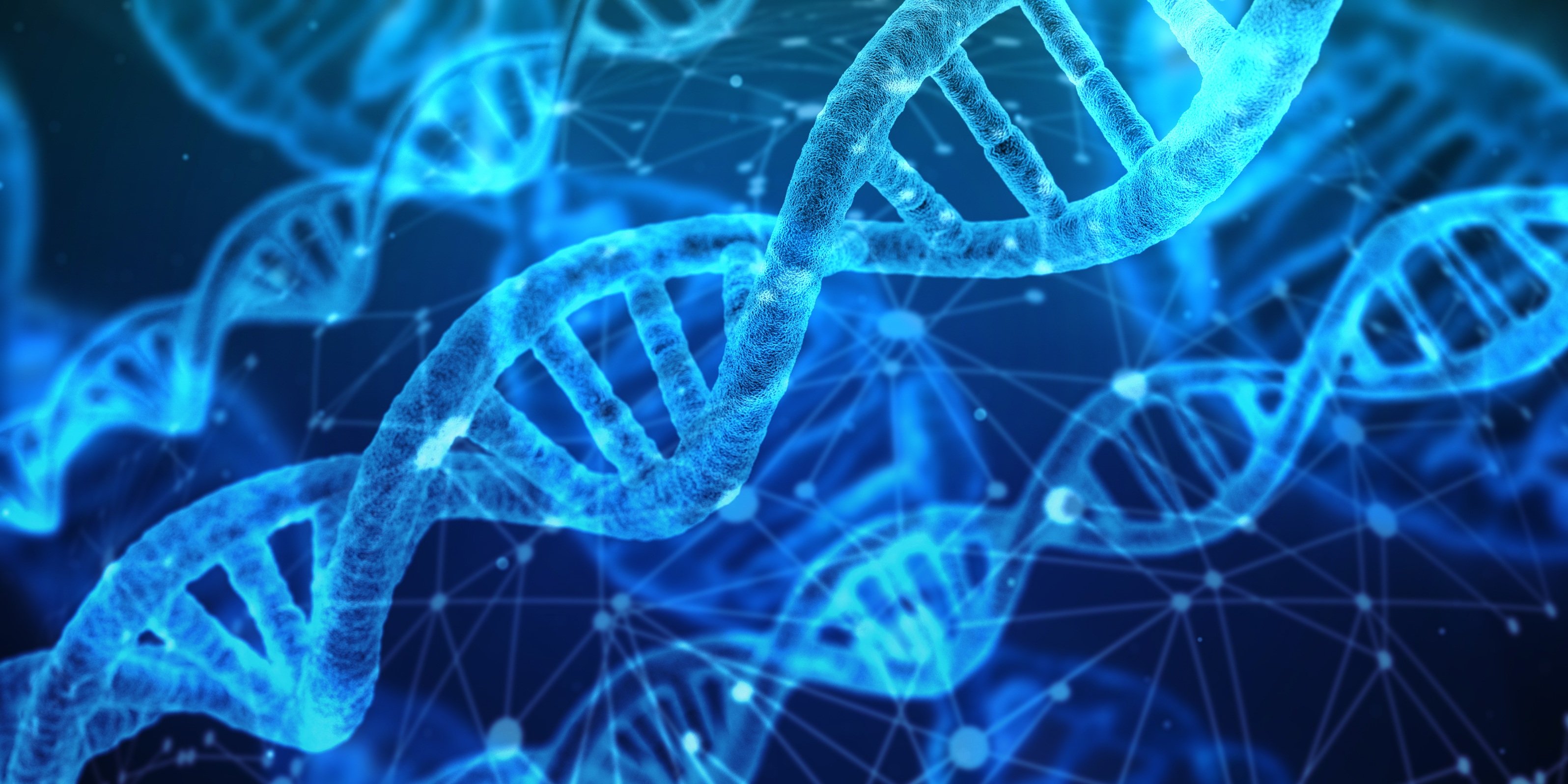 Peptide,Lipids & Carbonhydrate