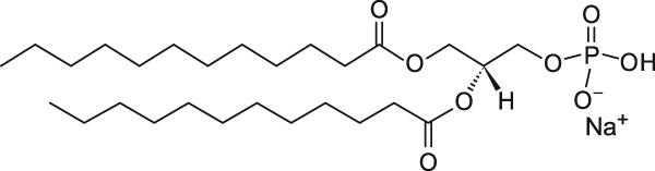 12:0 PA